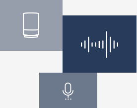 Voice Interaction